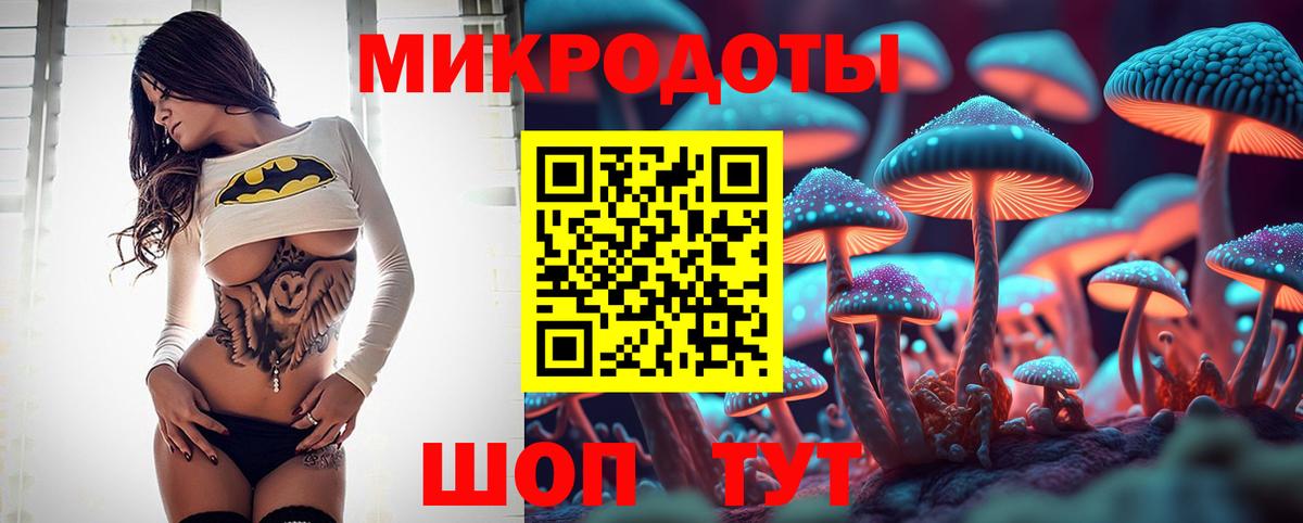 Сланцы  Галлюциногенные грибы GOLDEN TEACHER  Вход с VPN 